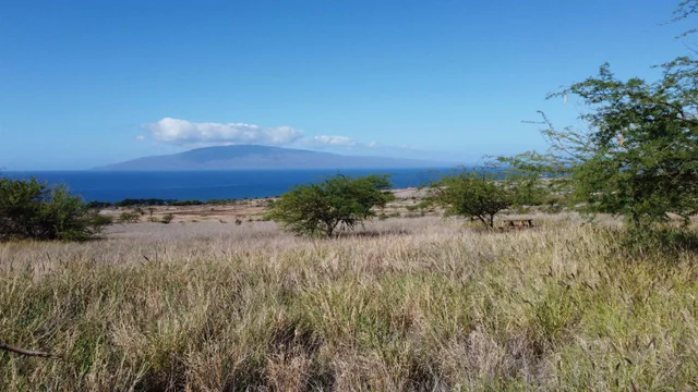 Listing Image for 311 Haniu St 7a 15 of 15