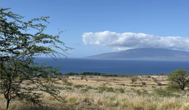 Listing Image for 311 Haniu St 7a 5 of 15