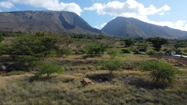 Listing Image for 311 Haniu St 7a 7 of 15