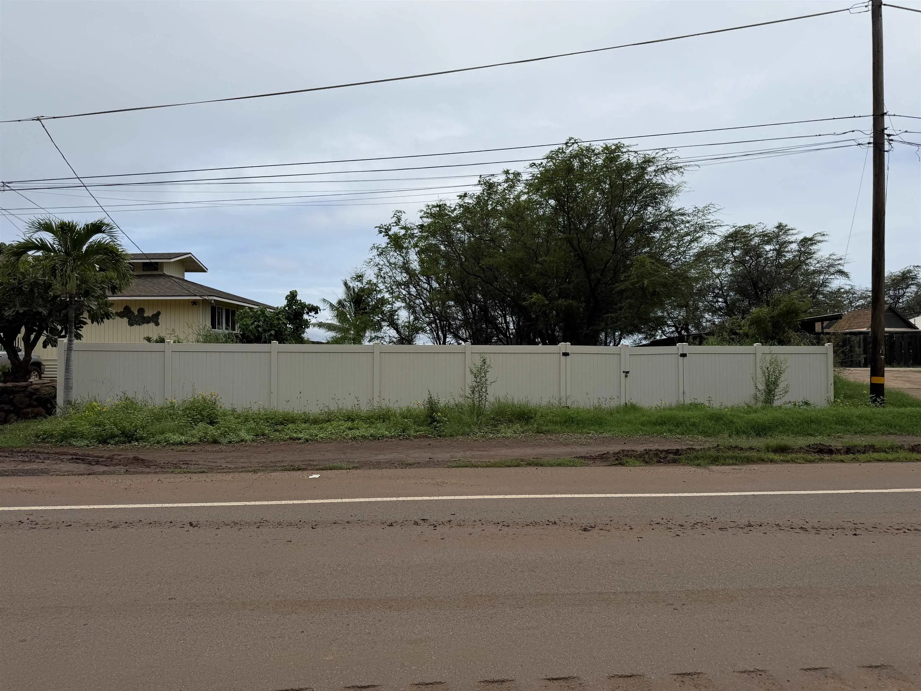 Photo of Listing #409322