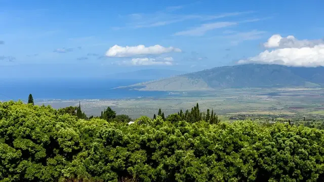 Listing Image for 14830 Haleakala Hwy 8 of 50