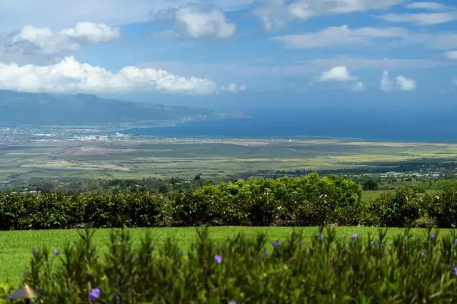 Listing Image for 14830 Haleakala Hwy 9 of 50