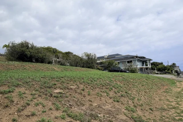 Listing Image for 417 Liholiho St A 6 of 12