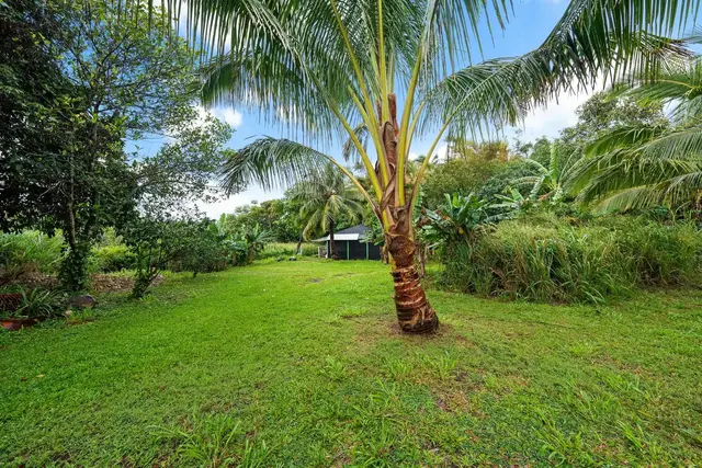 Listing Image for 323 Door Of Faith Rd 44 of 48