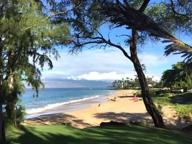 Listing Image for 2575 S Kihei Rd P-206 15 of 23
