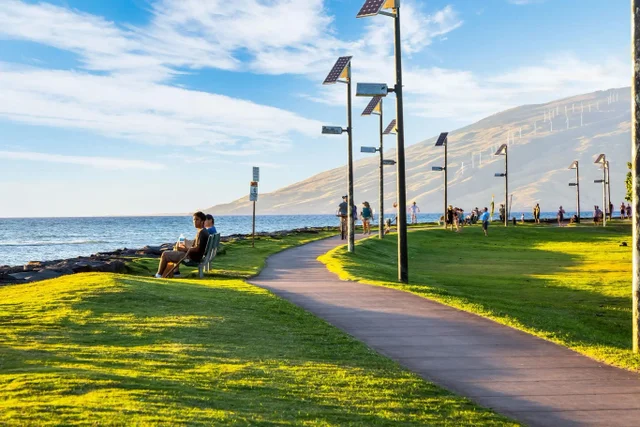 Listing Image for 99 Walaka St 12a 27 of 29