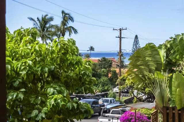 Listing Image for 99 Walaka St 12a 3 of 29