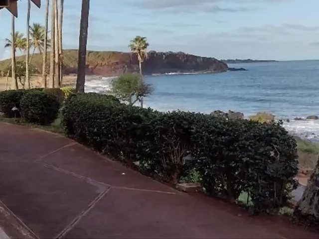 Listing Image for 50 Kepuhi Pl 116 8 of 19