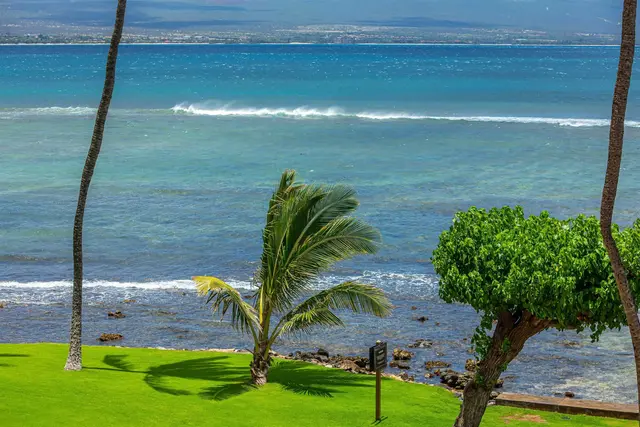 Listing Image for 50 Hauoli St 302 20 of 43