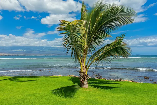 Listing Image for 50 Hauoli St 302 39 of 43