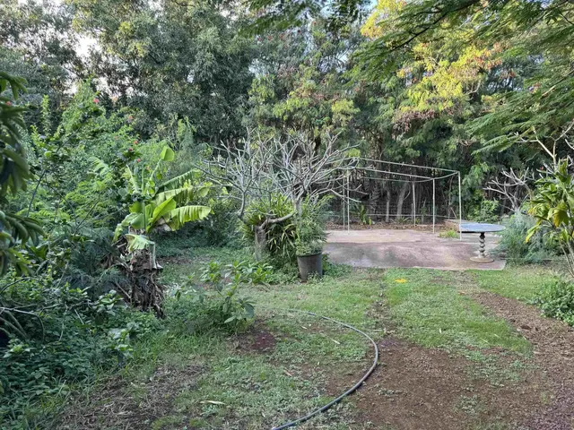 Listing Image for 8557 Kamehameha V Hwy 19 of 21