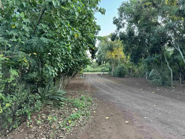 Listing Image for 8557 Kamehameha V Hwy 21 of 21