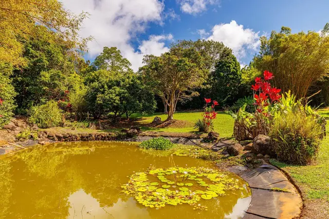 Listing Image for 620 Awalau Rd 43 of 50