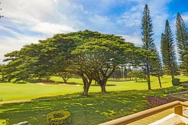 Listing Image for 500 Kapalua Dr 14t 1-2 18 of 30