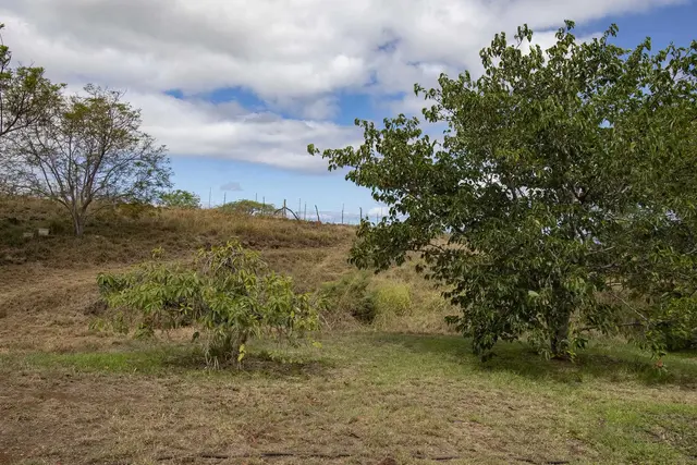 Listing Image for 1401 Naalae Rd A 11 of 19