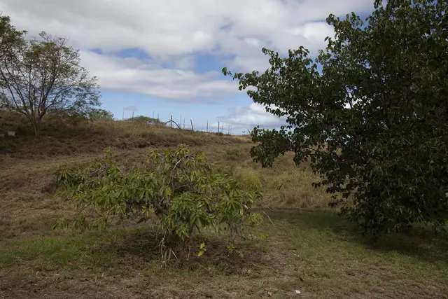 Listing Image for 1401 Naalae Rd A 12 of 19