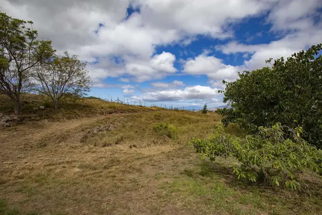 Listing Image for 1401 Naalae Rd A 3 of 19