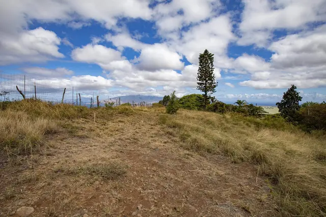 Listing Image for 1401 Naalae Rd A 5 of 19