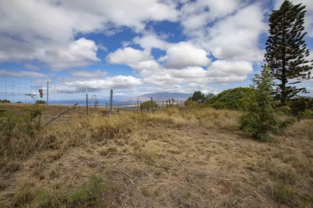 Listing Image for 1401 Naalae Rd A 6 of 19