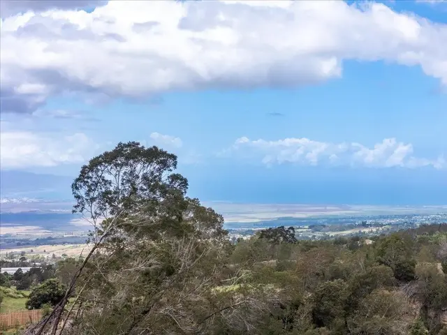 Listing Image for 0 Kamehameiki Rd 11 of 27