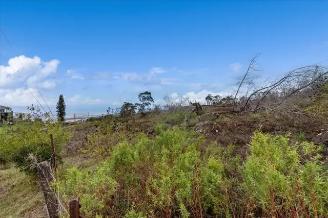 Listing Image for 0 Kamehameiki Rd 19 of 27