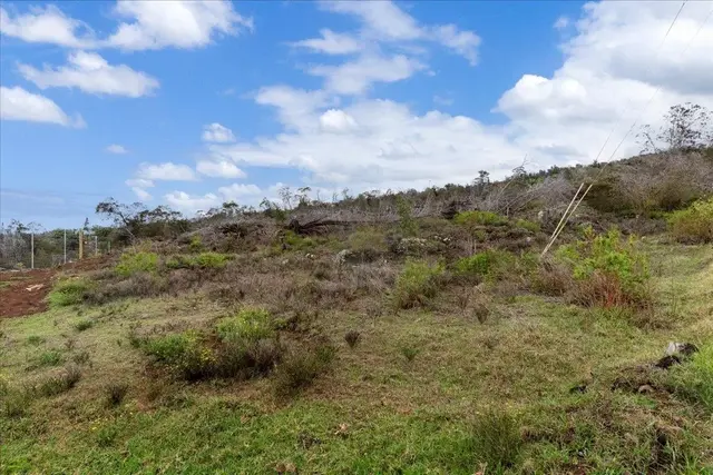 Listing Image for 0 Kamehameiki Rd 24 of 27