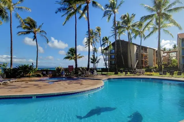 Listing Image for 3543 Lower Honoapiilani Rd A-401 U 12 of 23