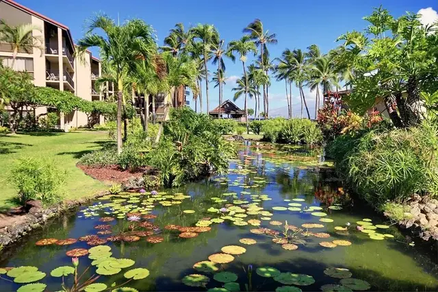 Listing Image for 3543 Lower Honoapiilani Rd A-401 U 16 of 23