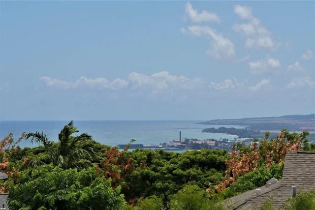 Listing Image for 125 Hoowaiwai Loop 1902 13 of 21