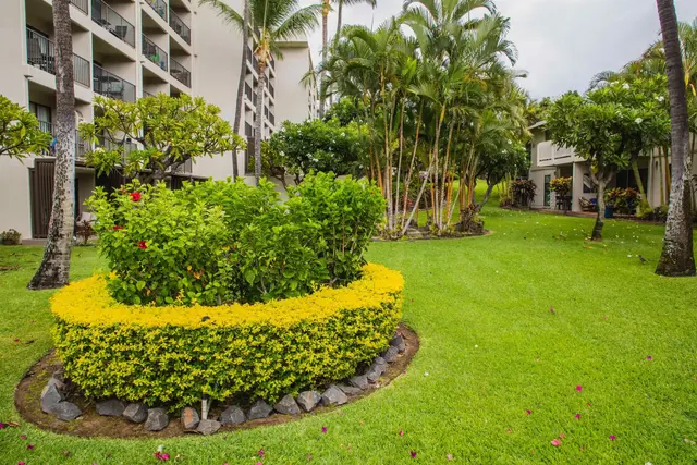 Listing Image for 2531 S Kihei Rd C503 4 of 28