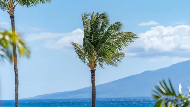 Listing Image for 3959 Lower Honoapiilani Rd 321 16 of 18