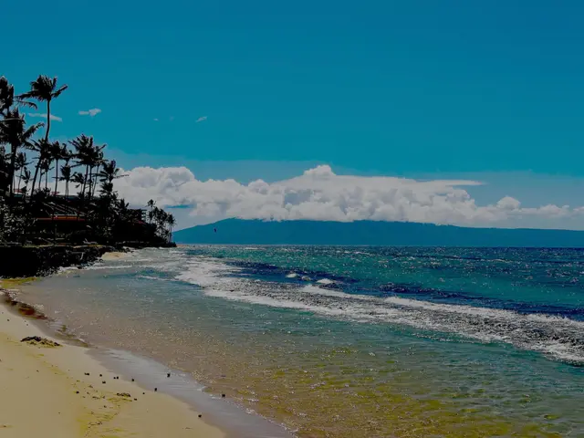 Listing Image for 3676 Lower Honoapiilani Rd F303 33 of 35