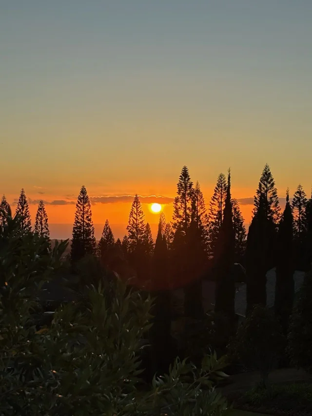 Listing Image for 185 Alohilani St 3 of 22