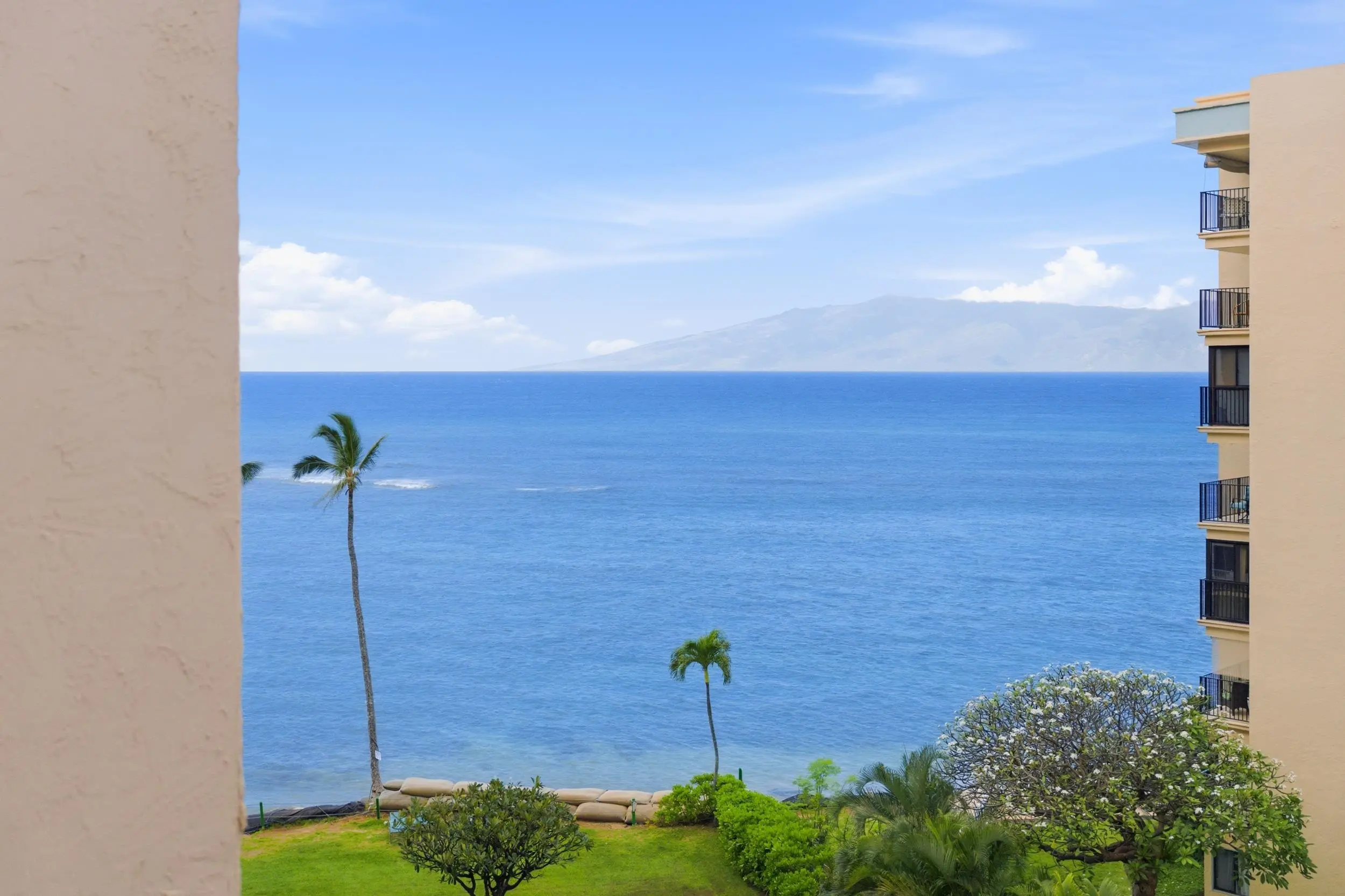 Photo of Listing #409277