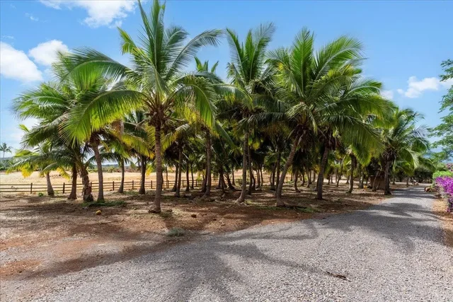 Listing Image for 85 Lau Awa Pl 39 of 50