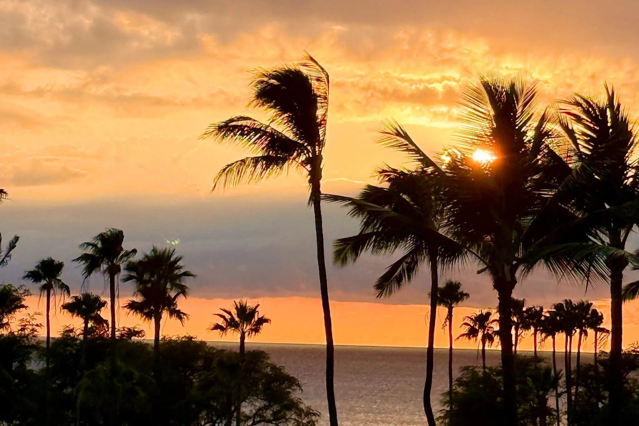 Photo of Listing #408625