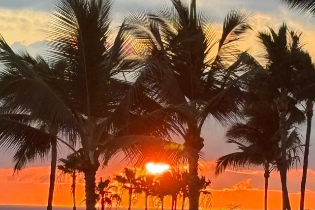 Listing Image for 2695 S Kihei Rd 3-403 40 of 40