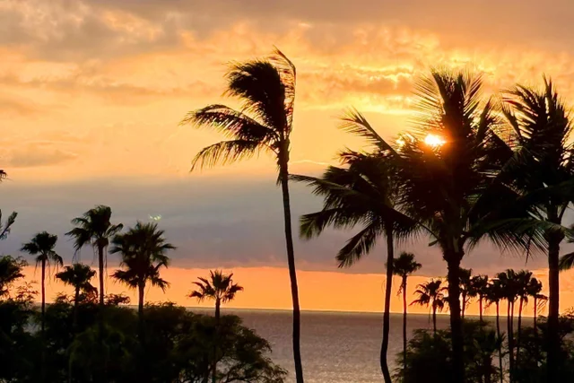 Listing Image for 2695 S Kihei Rd 3-403 5 of 40