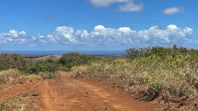 Listing Image for 0 Kalua Koi Rd 26 12 of 47