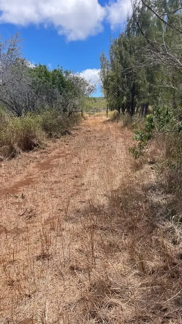 Listing Image for 0 Kalua Koi Rd 26 15 of 47