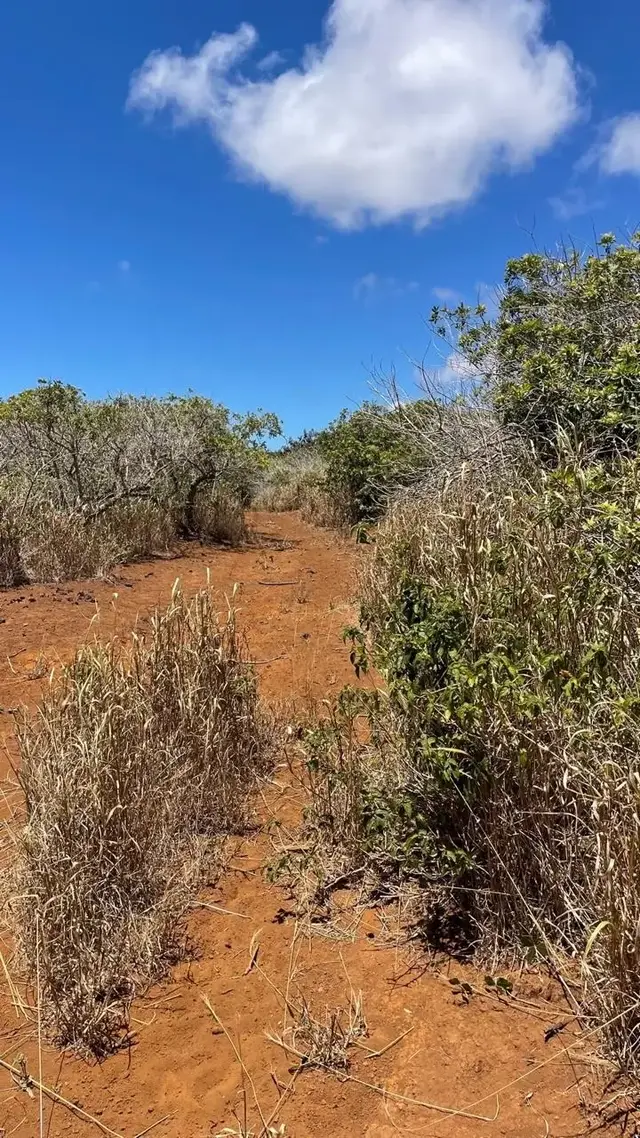 Listing Image for 0 Kalua Koi Rd 26 16 of 47