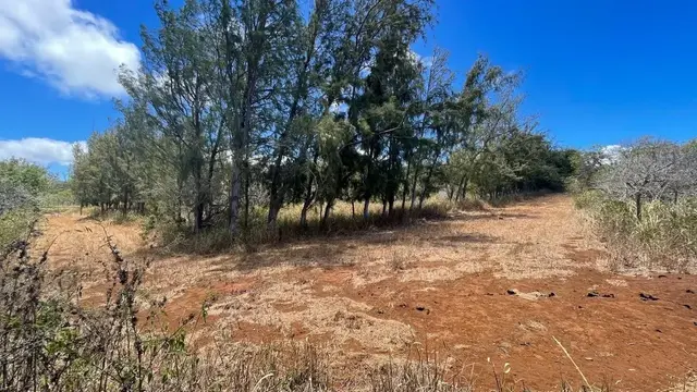 Listing Image for 0 Kalua Koi Rd 26 17 of 47