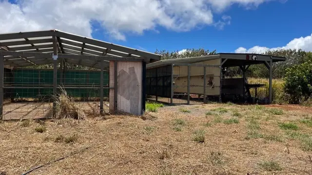 Listing Image for 0 Kalua Koi Rd 26 18 of 47