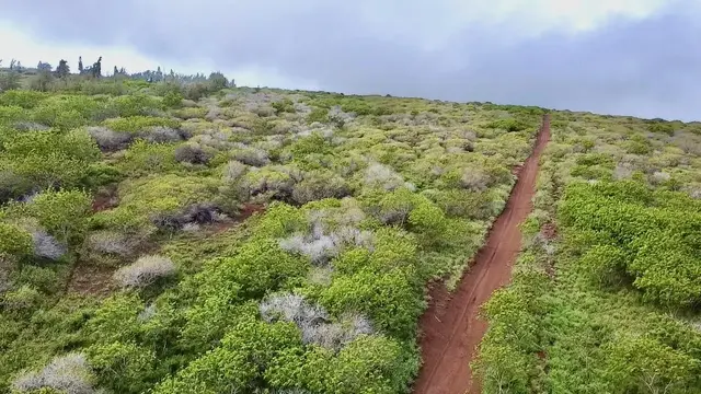 Listing Image for 0 Kalua Koi Rd 26 2 of 47