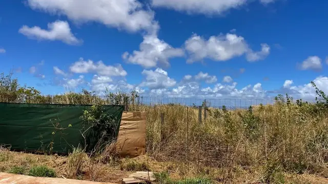 Listing Image for 0 Kalua Koi Rd 26 25 of 47