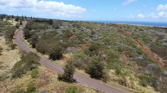 Listing Image for 0 Kalua Koi Rd 26 36 of 47