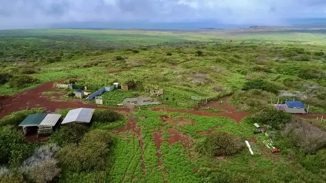 Listing Image for 0 Kalua Koi Rd 26 45 of 47