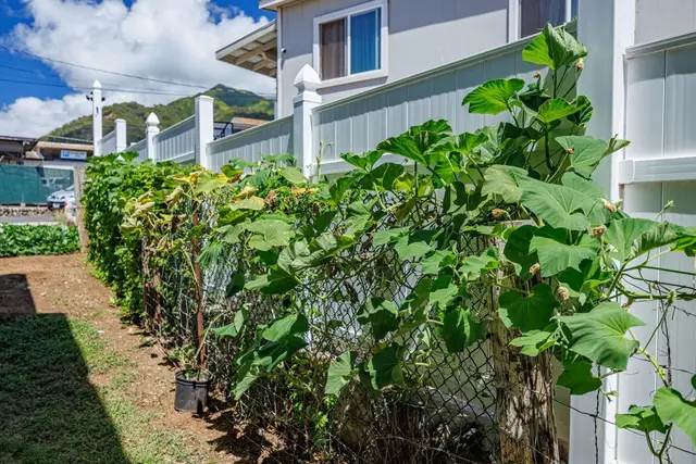 Listing Image for 346 Alahee Dr 36 of 50