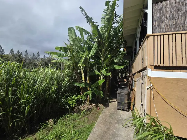 Listing Image for 37 Kuhinia St 18 of 23