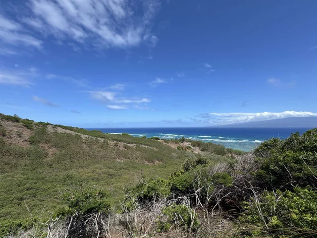 Listing Image for 10469 Kamehameh V Hwy Hwy 7 of 7